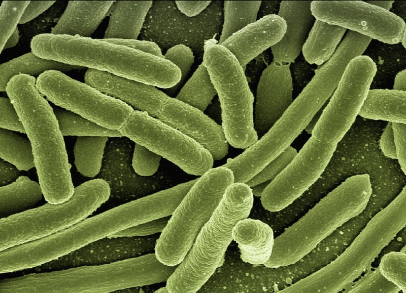 Disease Management